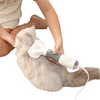 3-in-1 Pet Grooming Hair Dryer and Comb - EU Plug