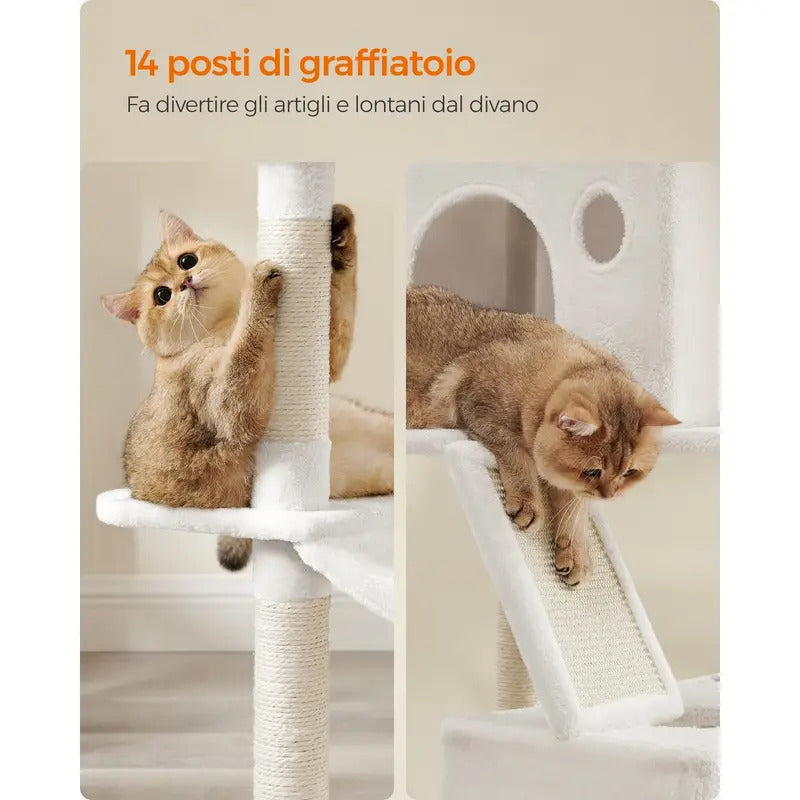 Tiragraffi per Gatti Adulti con 13 Graffiati 2 metri di altezza
