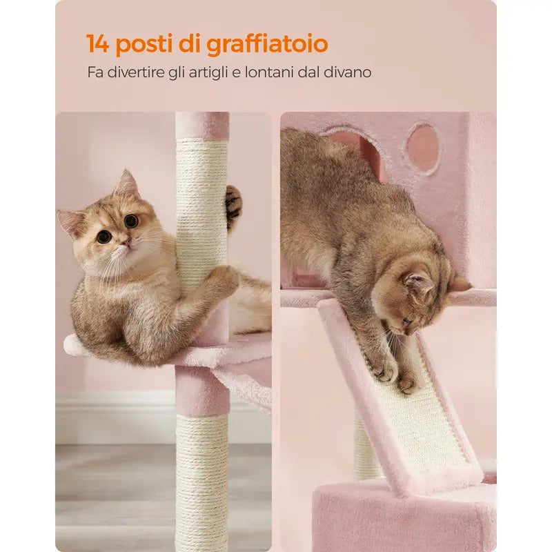 Tiragraffi per Gatti Adulti con 13 Graffiati 2 metri di altezza