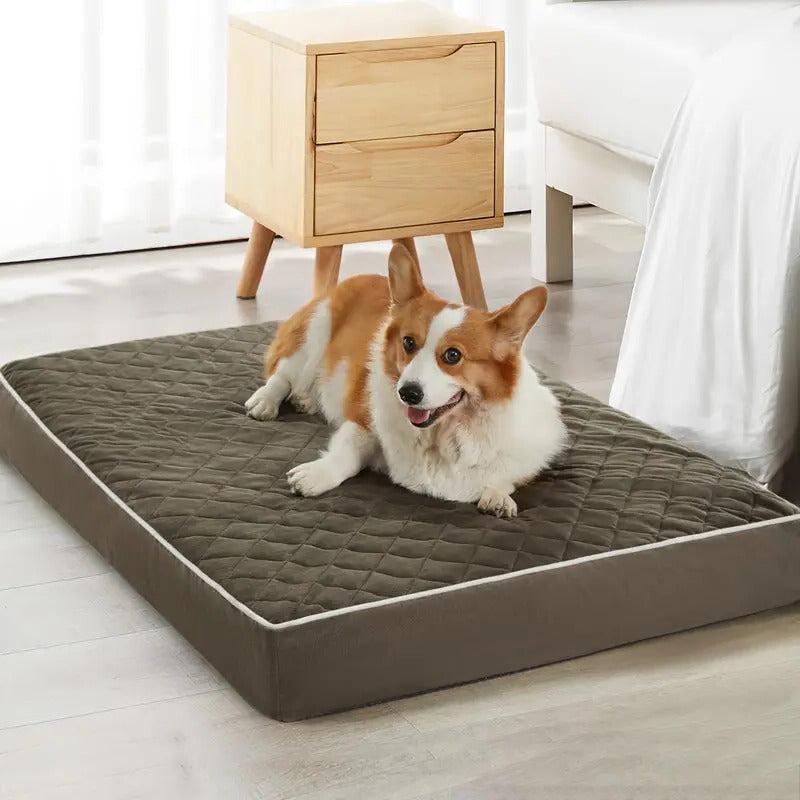 Letto per Cani Staccabile e Lavabile – Nido Estivo e per Tutte le Stagioni, Per Cani di Media Taglia